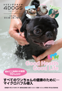 パグ犬がシャンプーしている画像のフライヤーデザイン